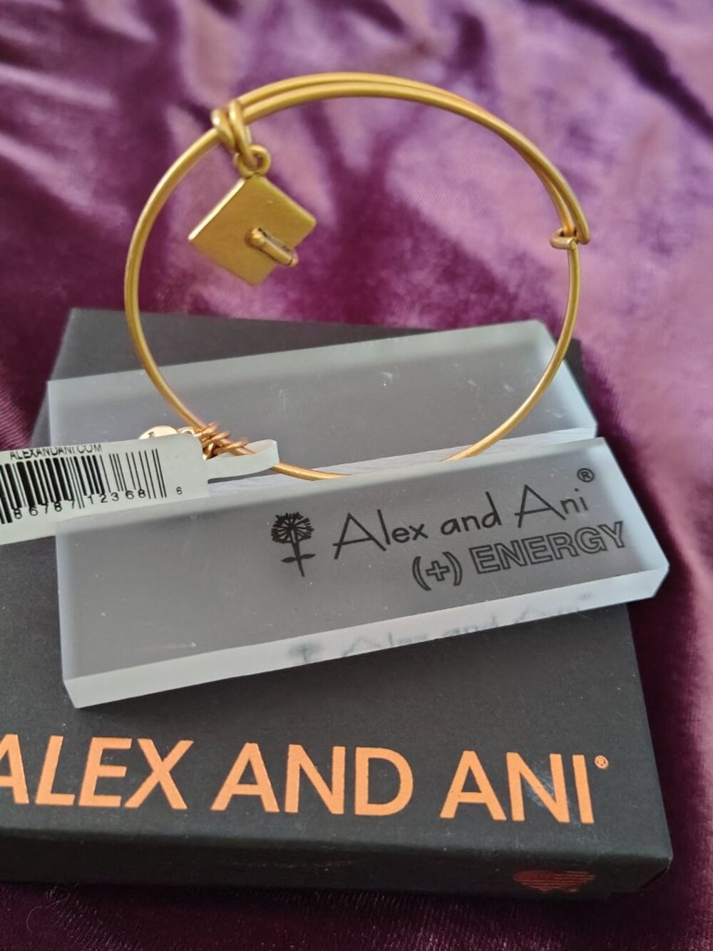 New Alex & Ani Graduation Cap # 796